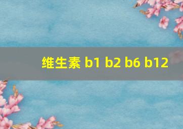 维生素 b1 b2 b6 b12